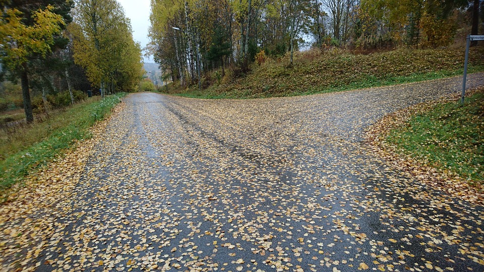 The top 3 reasons you need a leaf blower! - Cover Image