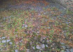 Black Paving Care