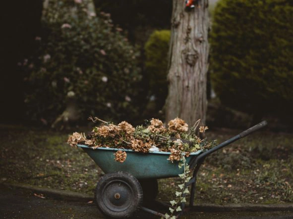 What does it look like to prevent weeds PROACTIVELY on hard surfaces? - Cover Image