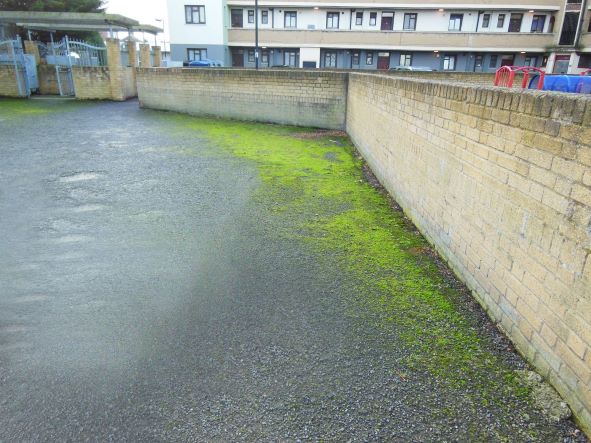 Should we spray or should we sweep?