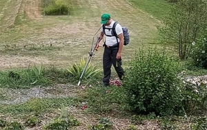 Kill weeds in the rain with Ripagreen - Thermal weed control  - Cover Image