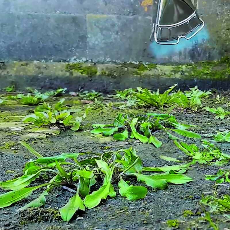 How to get the best from Thermal Weed Management - Cover Image