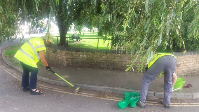 The Cultural Element of an Integrated Weed Management Strategy - Cover Image