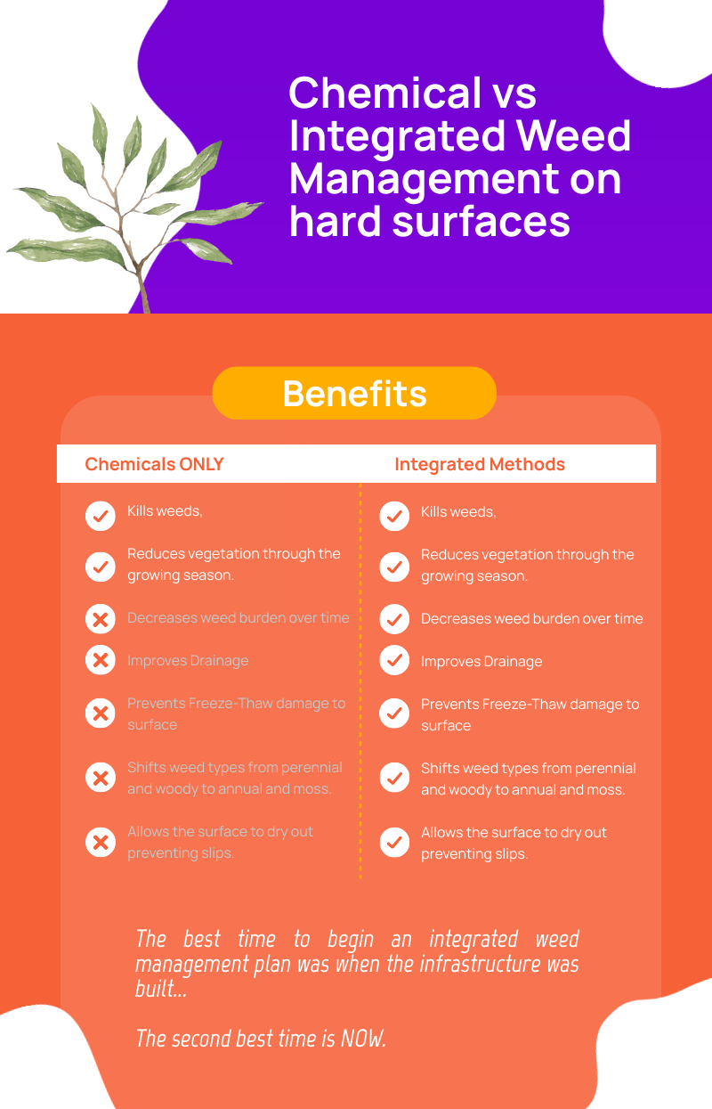 Chemical vs Integrated Weed Management - Cover Image